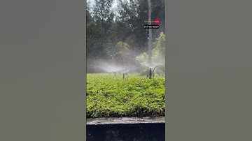 Béc phun mưa cánh bướm 360 tưới phủ điều tầm phun 6m GIÁ RẺ NHẤT HIỆN NAY