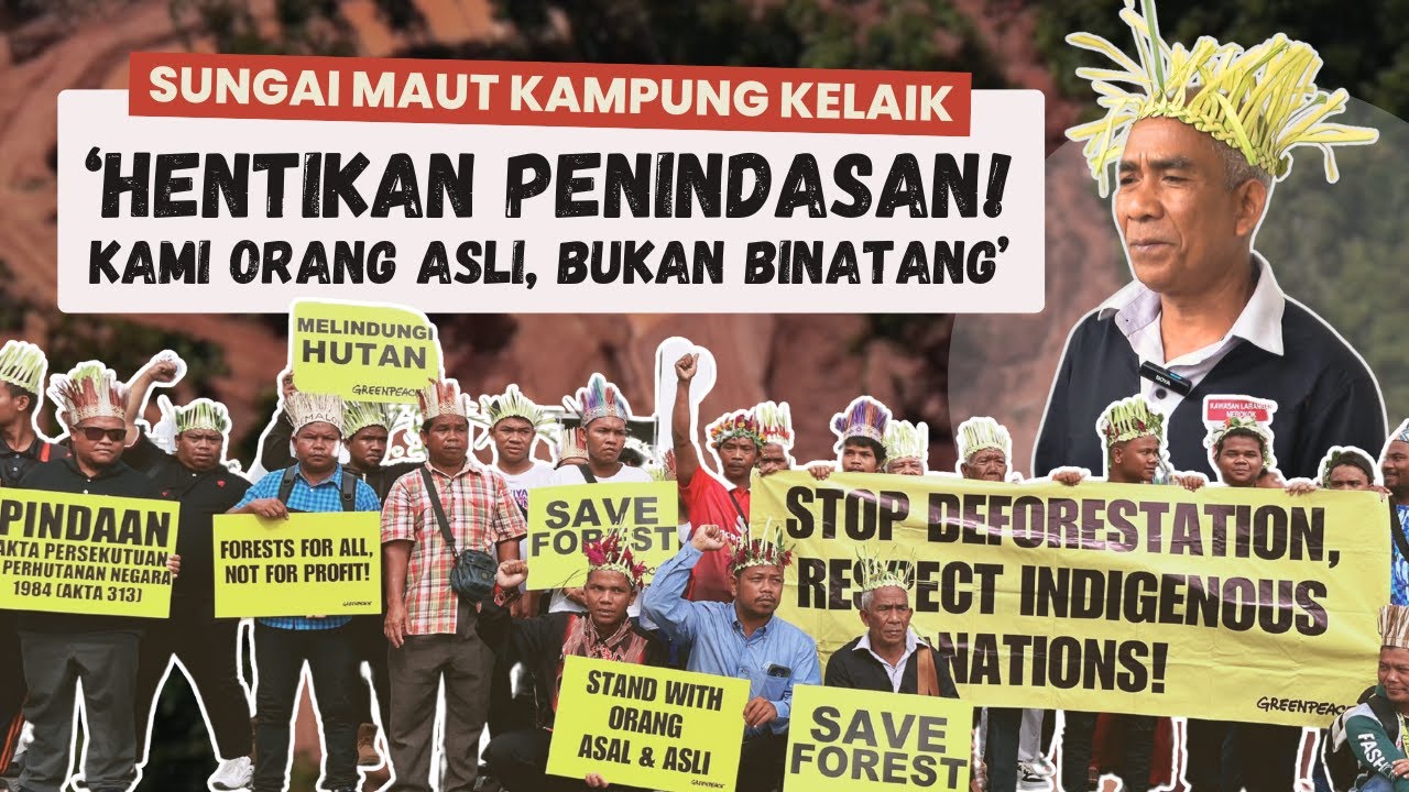 'HENTIKAN PENINDASAN! KAMI ORANG ASLI, BUKAN BINATANG' | SUNGAI MAUT KAMPUNG KELAIK