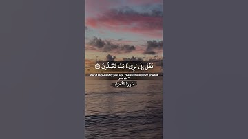 أكتب شيء تؤجر عليه.  ‏‎القارئ: ماجد الزامل.‏      ‎#قران #قران_كريم #قرآن_كريم #quran #islam #muslim