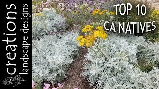 Top 10 California Native Plants