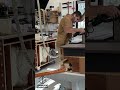 Un meuble prend vie en 30 secondes !