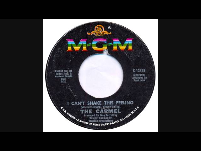 THE CARMEL - I Can't Shake This Feeling