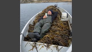 Beer Can and a Seaweed Plan