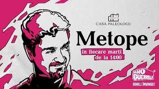 Viețile și morțile lui Noica | METOPE cu Theodor Paleologu și invitata Tatiana Niculescu