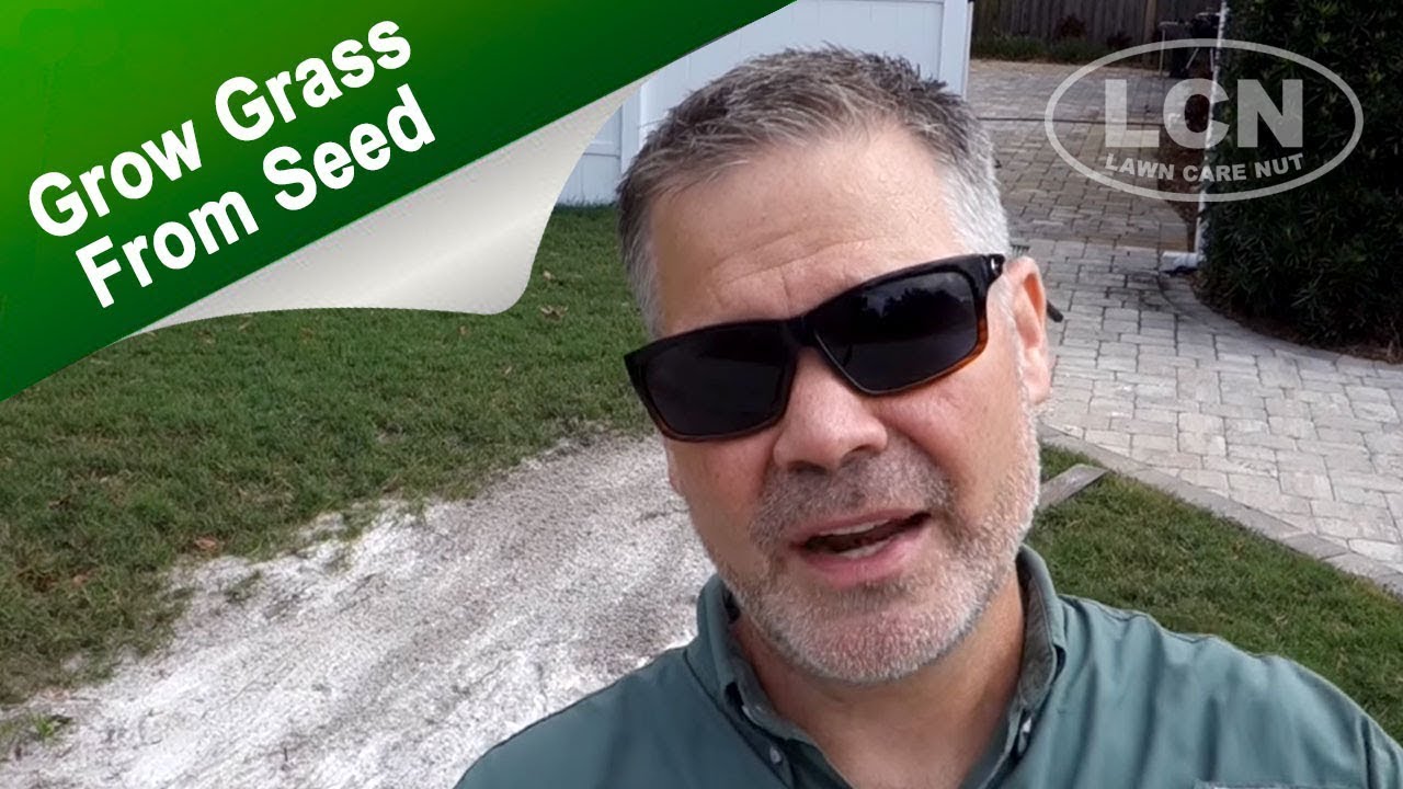How To Grow Grass From Seed - Lawn Bare Spot Repair