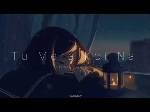 New Lofi Song (Tu Mera Koi Na) slowed and reverb | Lofi chillout | Sukoon Creations #song #bollywood