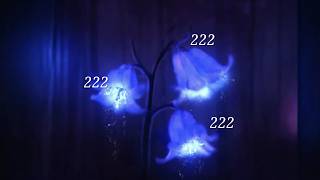 ✧ this message will find you at the right time (222) (don’t ignore‼️)