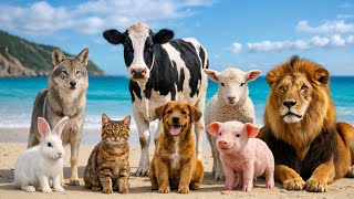Learn Animal Sounds for Kids 🐶🐱🦁 screenshot 2