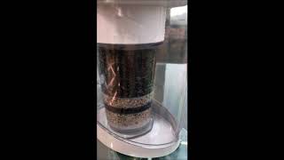 Ace bio Plus礦物質水壺 - 測試濾芯能力