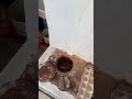 Как растопить печь без дыма и копоти #деревня #зима #печь