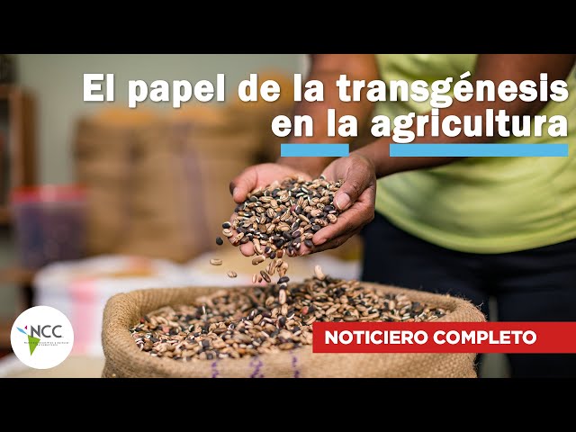 El papel de la transgénesis en la agricultura | 625 | 29 de enero al 04 de febrero de 2024