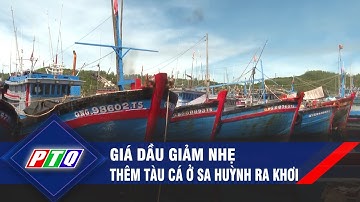Quảng Ngãi: Giá dầu giảm nhẹ, thêm tàu cá ở Sa Huỳnh ra khơi  | PTQ