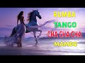 Cha Cha - Tango - Rumba - Mambo | Beautiful Relaxing Spanish Guitar Music 2024 | Best Latin Music