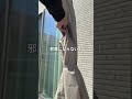 視線、紫外線、水もカットできる! #shorts #バルコニー #ベランダ #便利アイテム