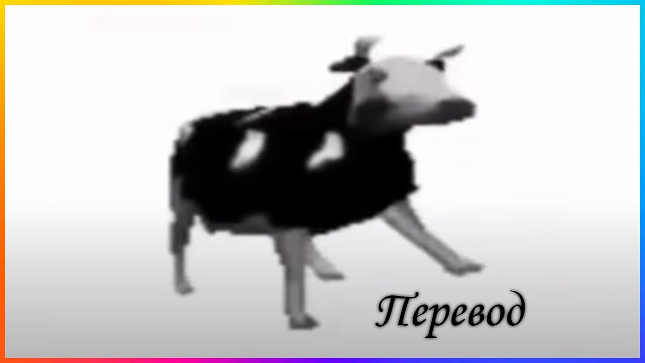 Польская корова песня перевод. Корова танцует. Перевод польская корова танцует. Польская корова Мем. Польская корова перевод.