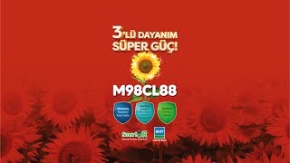 M98Cl88I, Ayçiçeği Ürün Sorumlumuz Burak Uğur, Ibilençiftçi’lerimiz İçin Anlatıyor