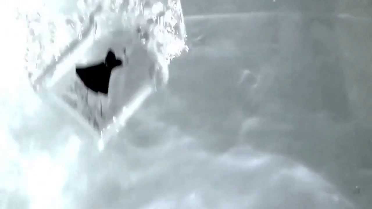 Message in a Bottle - The Cornucopia Issue