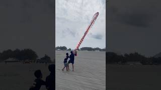 Layang layang naga di parang tritis