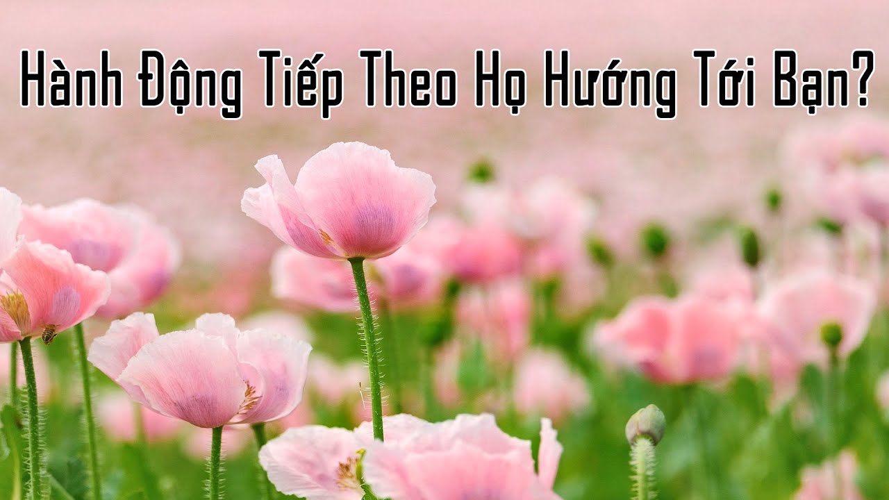 Hành Động Tiếp Theo Họ Hướng Tới Bạn?
