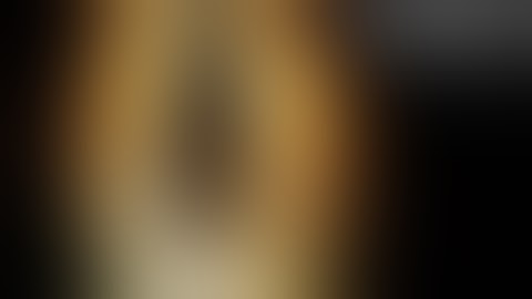 F.E.A.R. - PART 01 - Full Walkthrough - Xbox Series X - No Comment