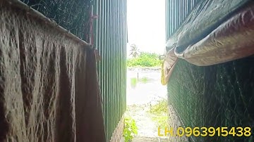 Ms 277 21x105 dt 2200mz xã thạnh Đức bên lức Long An 3,3t TL Sài Gòn 27km hotline 0963915438 