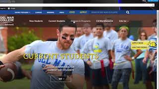 Navigating the DMC Website