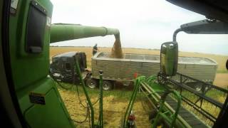 Frederick harvesting 2013