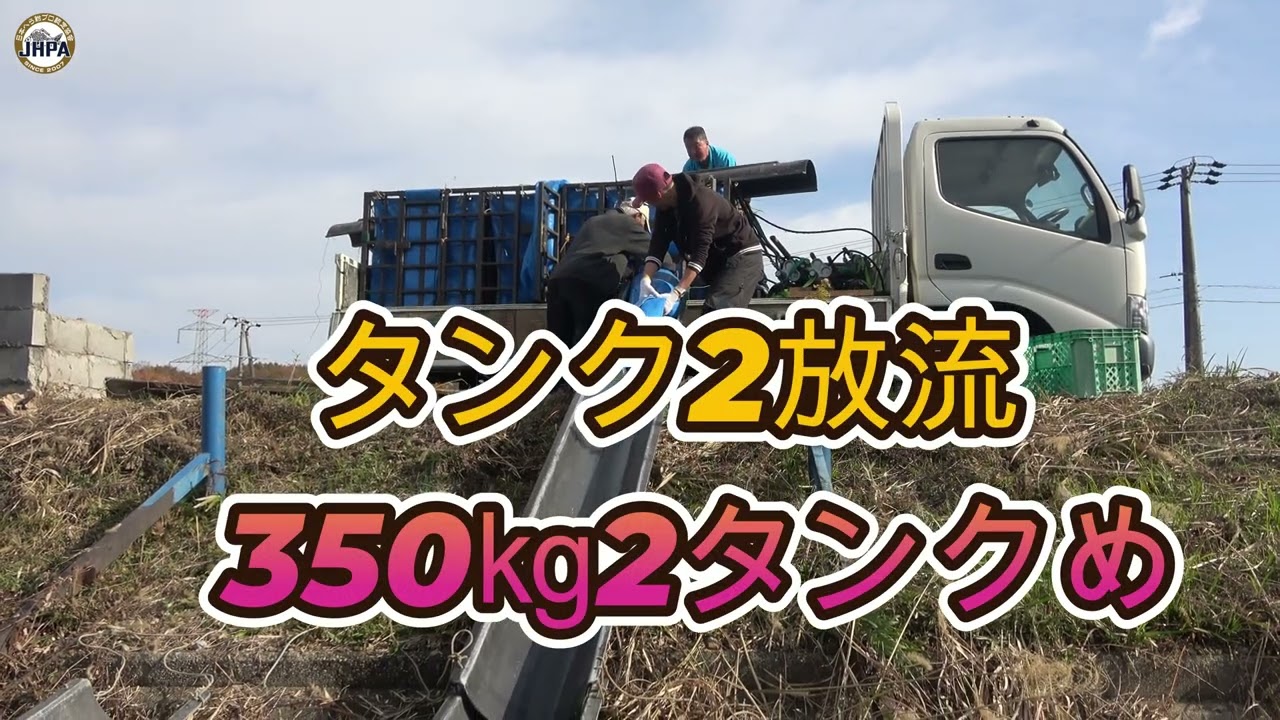 令和７年11月2日大安池管理釣り場新べら放流朝9時45分350㎏2タンク