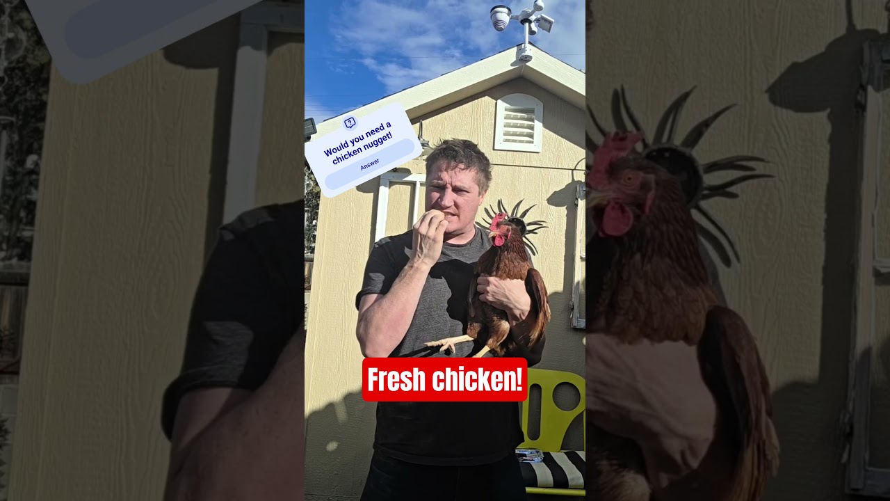 Я обожаю куриные наггетсы