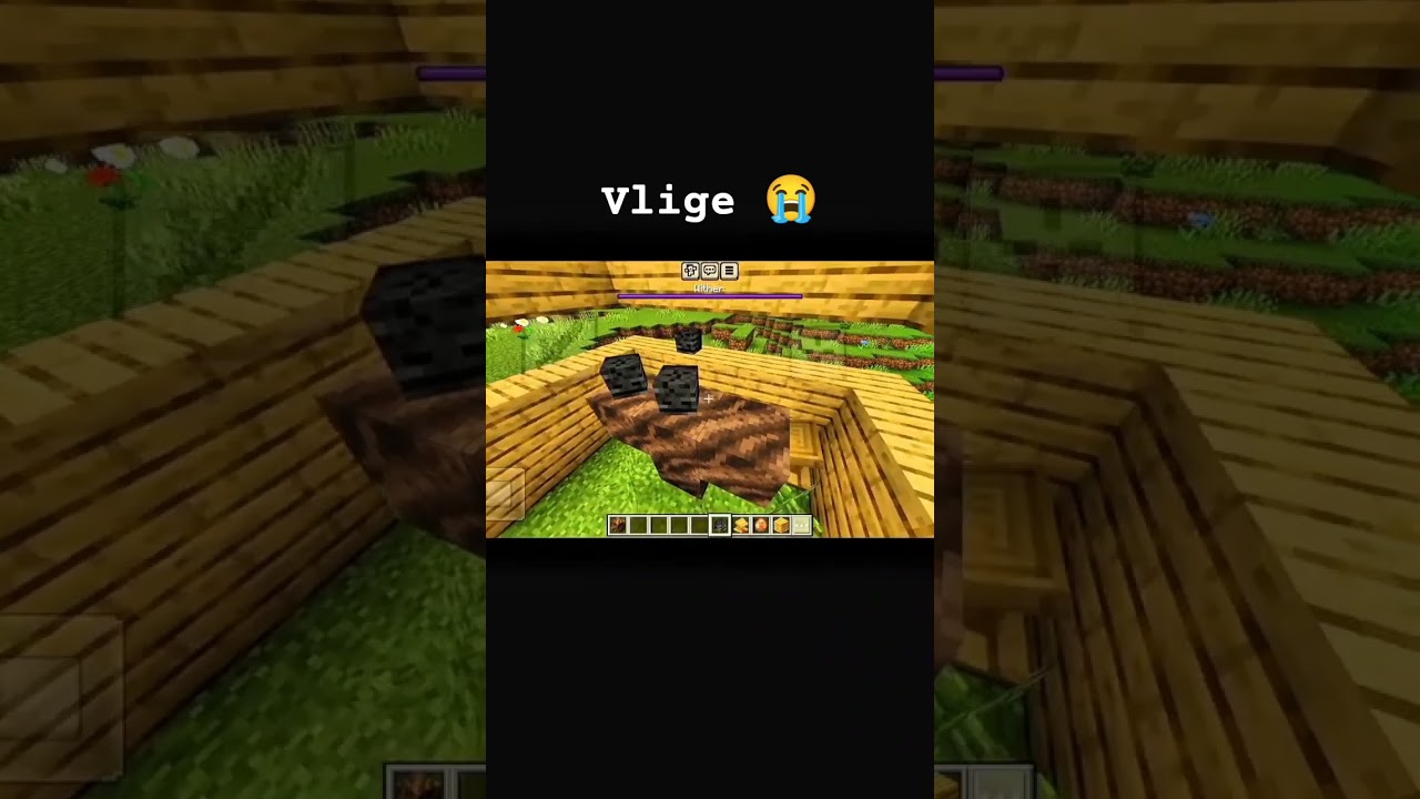 Funniest Minecraft Memes 😂 | 
