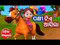 Pakhi tiye asila  salman creation  shishu batika  odia cartoon song