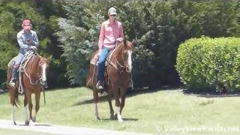 Top Notch Zipper    ***For info, price, etc., go to our website*** Valley View Ranch