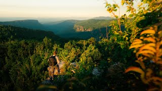Sunrise Hike on the Edge of a Canyon 🌄 #Shorts