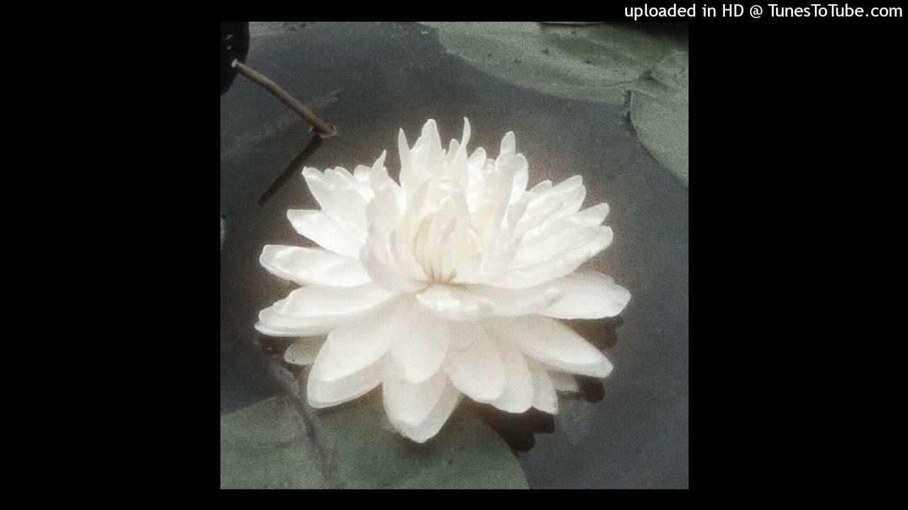 (free) regalia + devstacks + royal type beat - faith