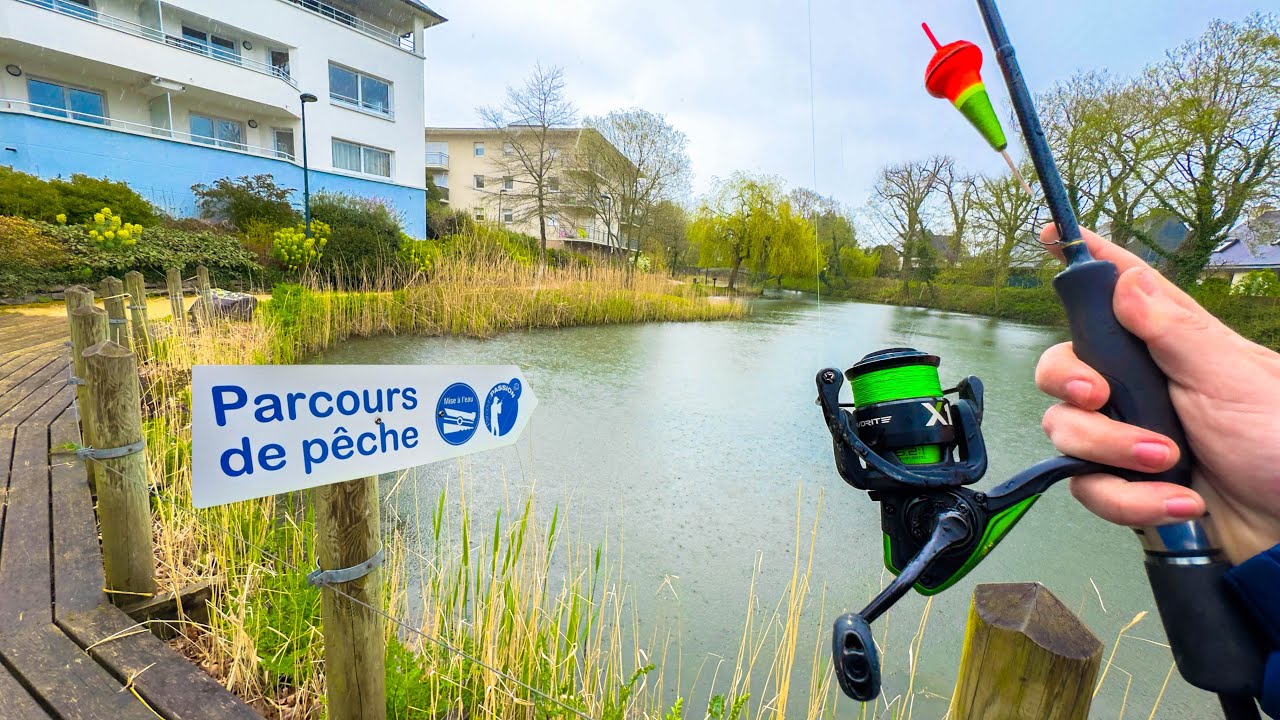 Découverte d’un petit étang communal ! (Pêche au bouchon)