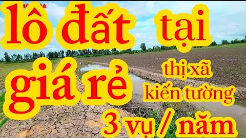 (số 135) 23 công / đất 3 vụ. 2 mặt tiền giá siêu rẻ