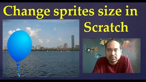 14. Change sprites size in scratch