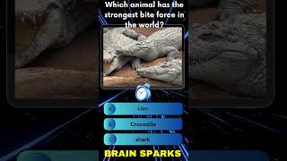 Can you solve this question ❓#quiz #quiztime #trivia #shorts #trending