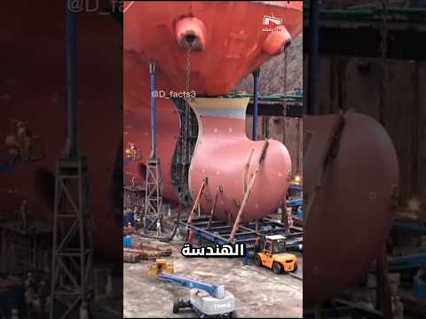 كيف تصمد السفن الجبارة أمام عواصف مدمرة 