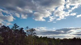 Aerial view from Supply North Carolina 2021