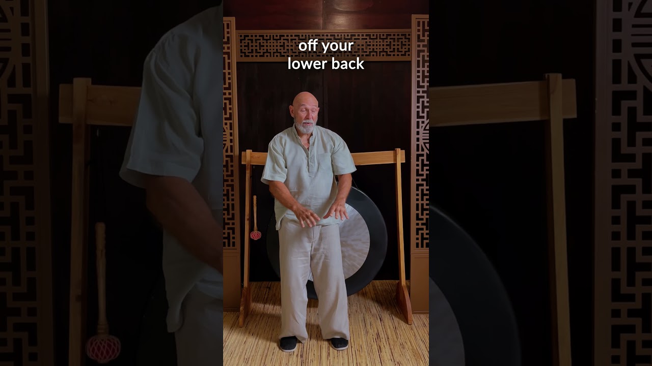 Forest Rock 7 Day Qi Gong Challenge Day 6 Qi Gong for Back Pain Relief Part 2