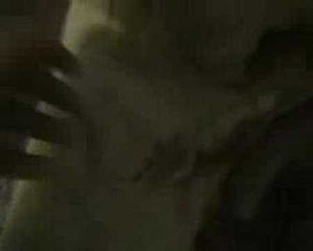 camera iphone 8 plus apk Unpacking the 3 new reptiles