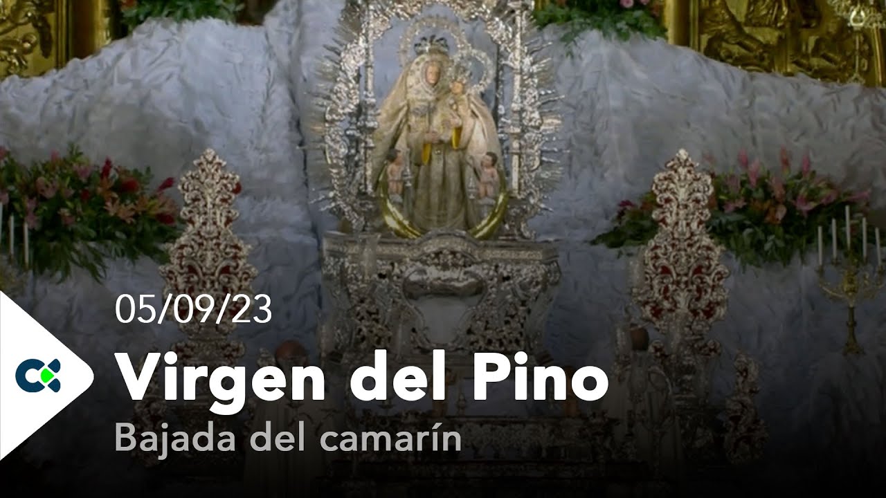 Bajada de la Virgen del Pino del Camarín | 2023