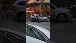 Guy Opens Car Doors to Let a Curious Bear Out