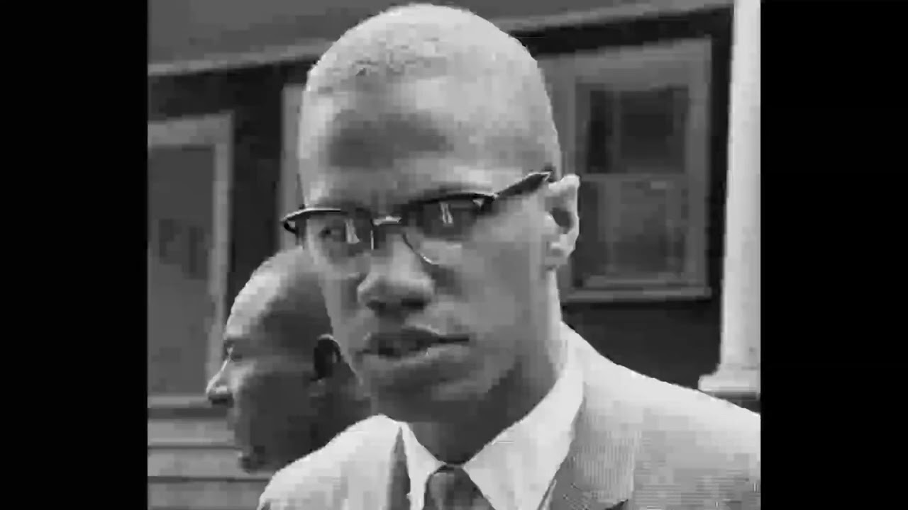 Malcolm x on white liberals