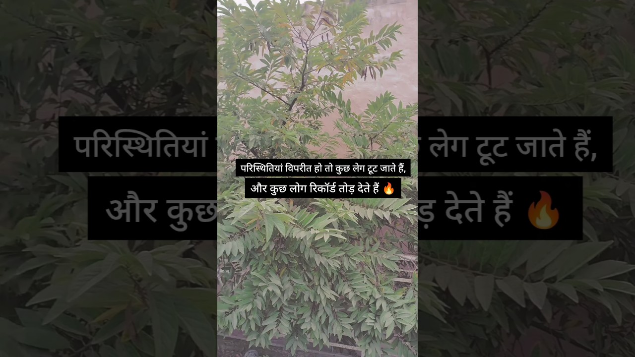 Pressure Creates Legends 🔥