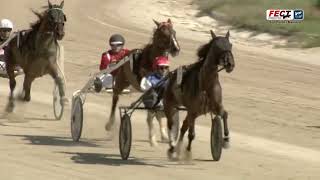 Vidéo de la course PMU PREMI NACHITO