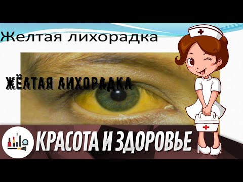 Жёлтая лихорадка