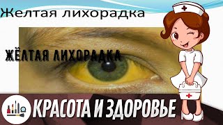 Жёлтая лихорадка