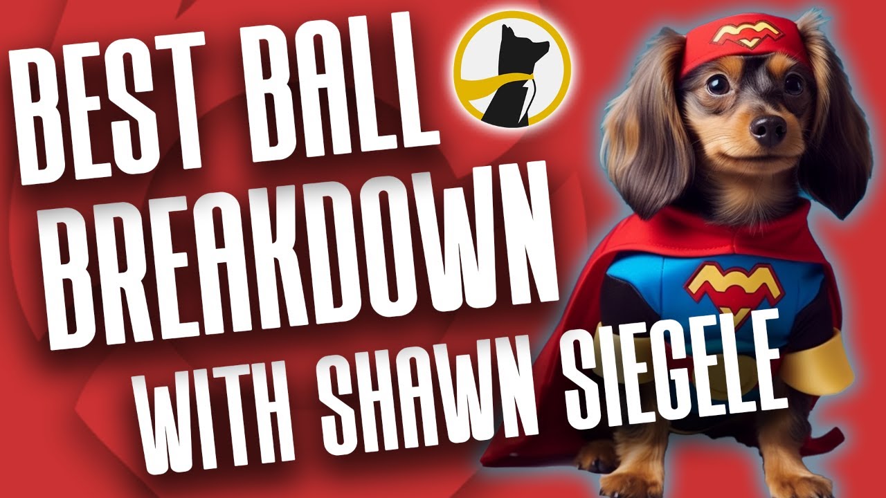 Best Ball Breakdown LIVE Draft with Shawn Siegele YouTube